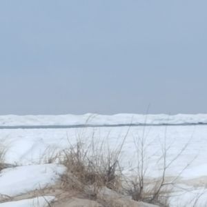 Meet your Posher, Ruth